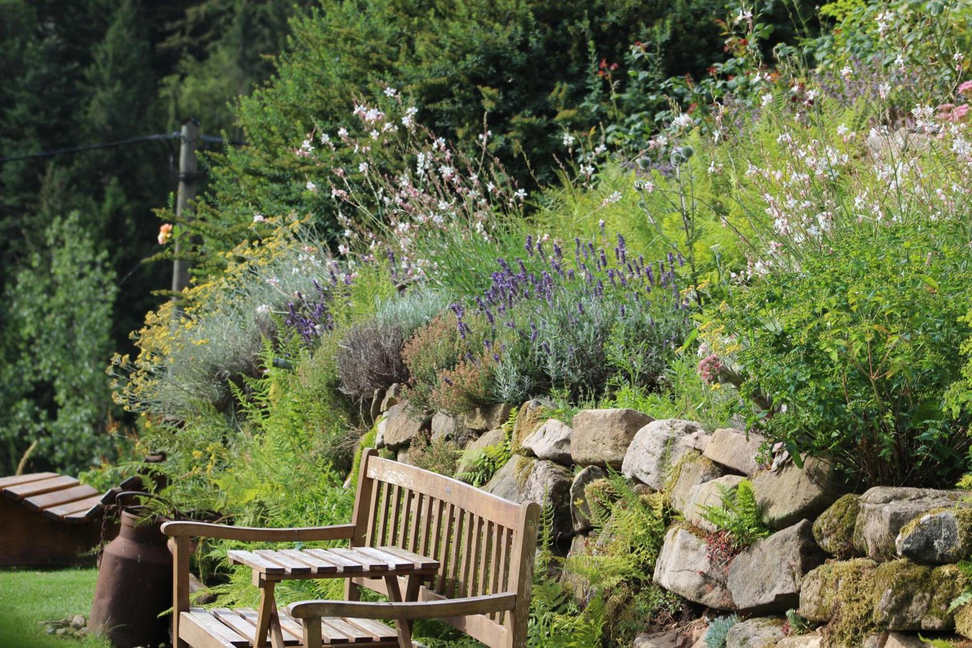 Gasthaus The Moosbach Garden Nordrach Exterior foto
