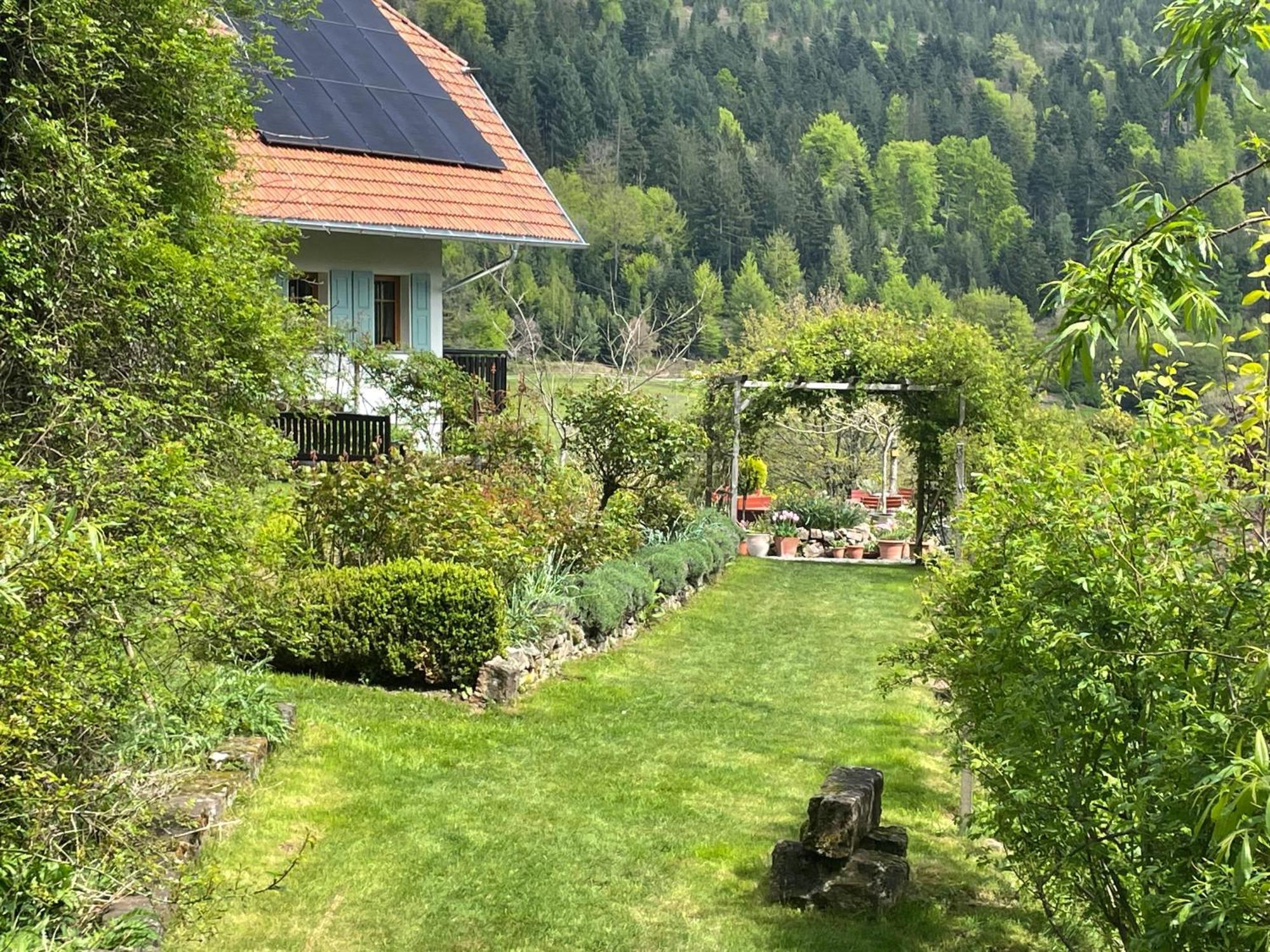 Gasthaus The Moosbach Garden Nordrach Exterior foto