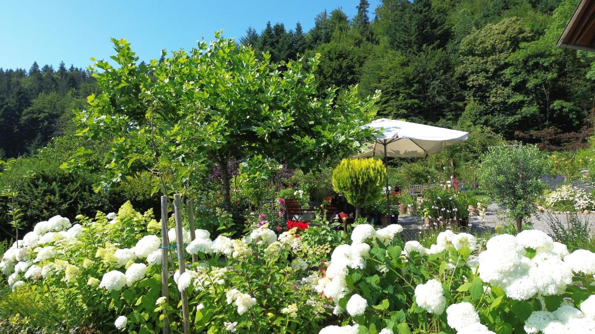Gasthaus The Moosbach Garden Nordrach Exterior foto